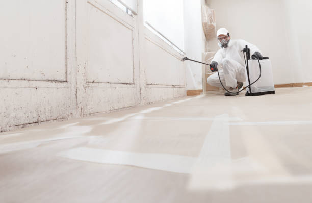 24/7 Emergency Crawl Space Mold Removal experts in Woodinville, WA