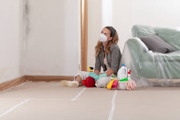 Reliable Mold Cleanup contractor in Woodinville, WA by Cheap Mold Removal